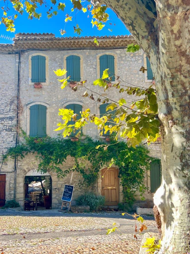 Pretty foliage fronted stone house in Vaison La Romaine