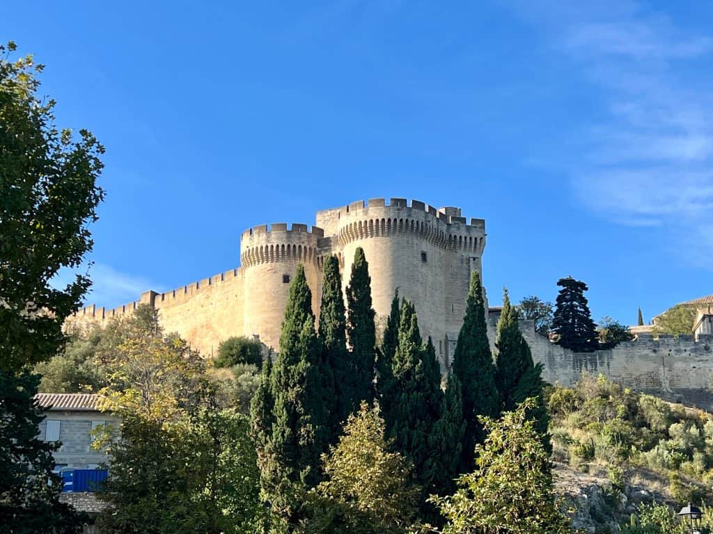 Fort St Andre exterior from distance surrounded with trees in Villeneuve des Avignon