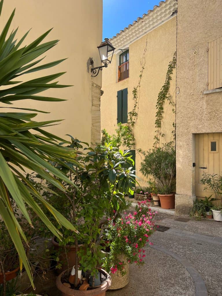 Baumes de Venise plant and building corner