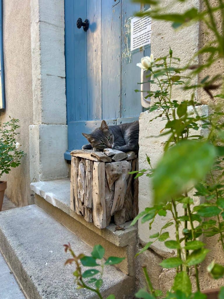 Beautiful villages to visit in Provence: Cat on door step in Lourmarin