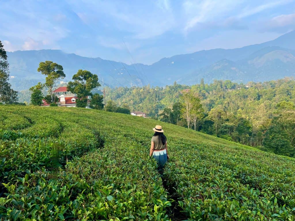 Bejal walking in tea plantation neighbouring The Leaf Resort in Munnar