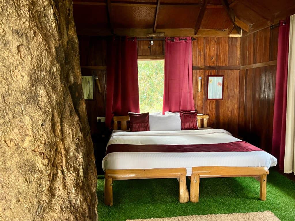 Eco-friendly hotels in Kerala: Nature Zone Jungle Resort tree house bed with tree trunk in middle