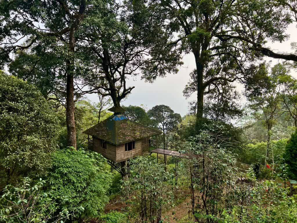 Tree house at exterior in jungle at Nature Zone, Munnar