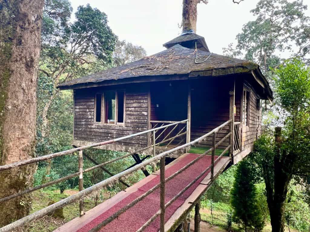 Eco-friendly hotels in Kerala: Nature Zone Jungle Resort tree house exterior