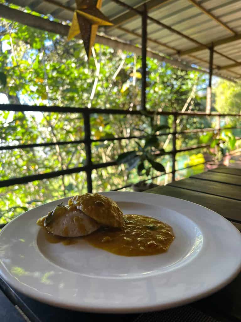 Eco-friendly hotels in Kerala: Nature Zone Jungle Resort, Munnar idli sambhar breakfast