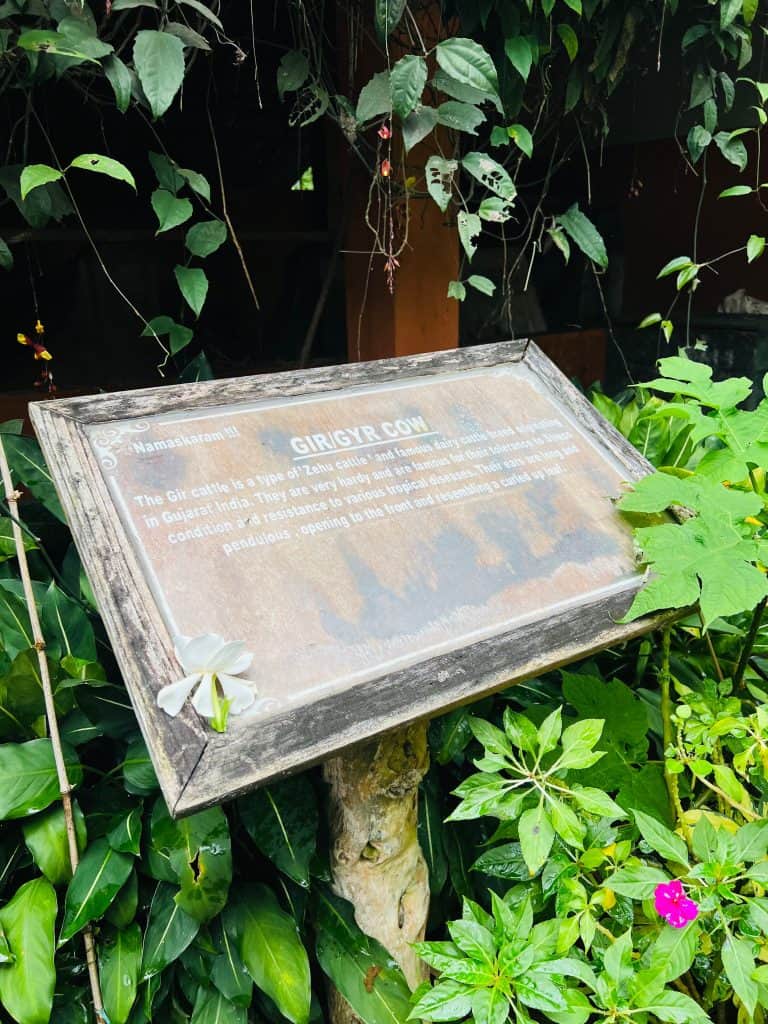 Cow prigins plaque at Greenwoods farm, Thekkady