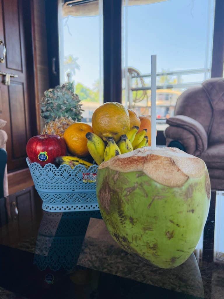 Eco-friendly Hotels in Kerala: Fruit on Pickadly Royal Suite cruise lounge with coconut