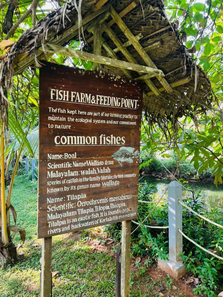 Eco-friendly Hotels in Kerala: Sustainable fishing sign at Abad Turtle Beach Resort, Marari