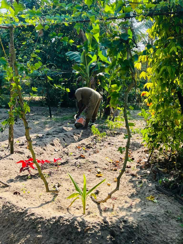 Eco-friendly hotels in Kerala gardener attending to plants at Abad Turtle Beach