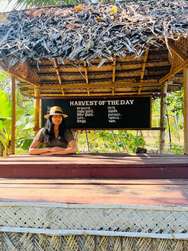 Eco-friendly Hotels in Kerala: Vegetable stall at Abad Turtle Beach, Marari