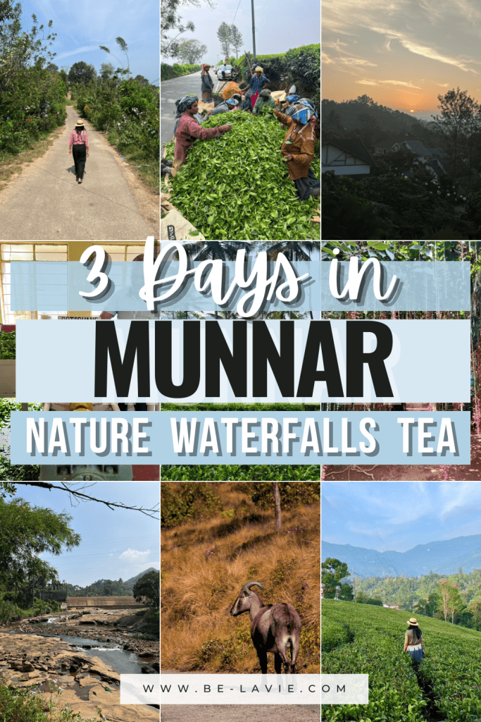 Pinterest Pin with 9 photos overlayed with text saying '3 days in Munnar. Nature, Waterfalls, Tea'