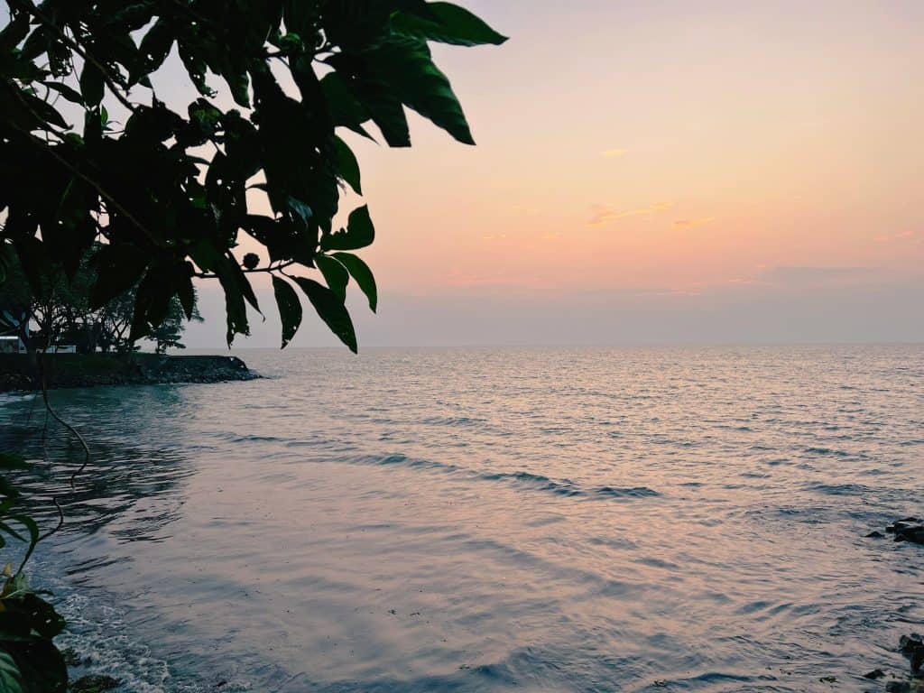 Sunset on Fort Kochi beach with green leaves in top left hand corner