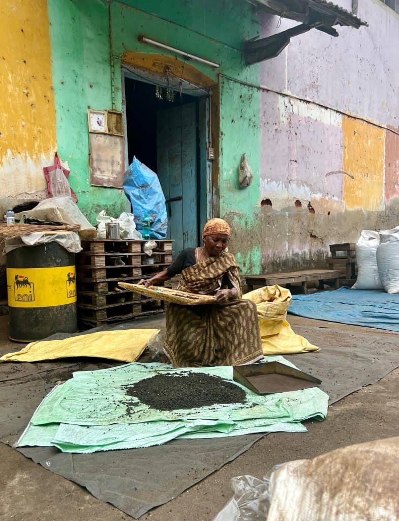 A local lasy wearing a brown saree and headscarf, sitting on the floor sorting through peppercorns. There is a multi-coloured wall behind her of the factories and bags of peppercorns