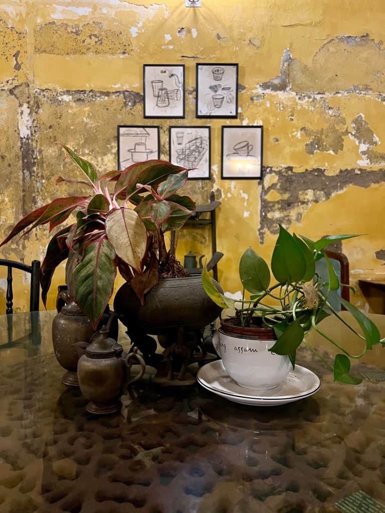 Kerala one of India's most eco-friendly states: Pictures and plants against yellow wall background at Teapot cafe, Fort Kochi There are some black framed photos on the wall.