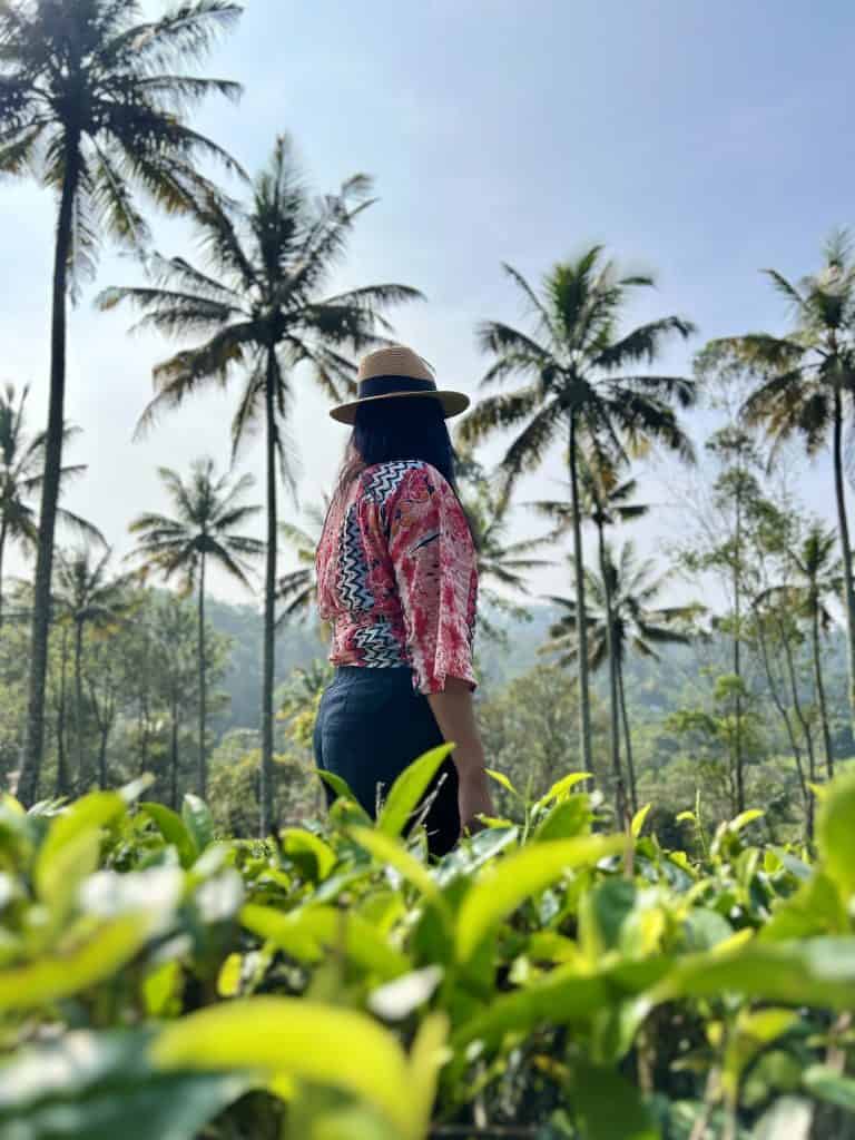 Things to do in Munnar. Bejal standing in tea plantation in the Munnar Hills with a red adn pink ethnic top and black trousers. There are tall green palm trees in the background.
