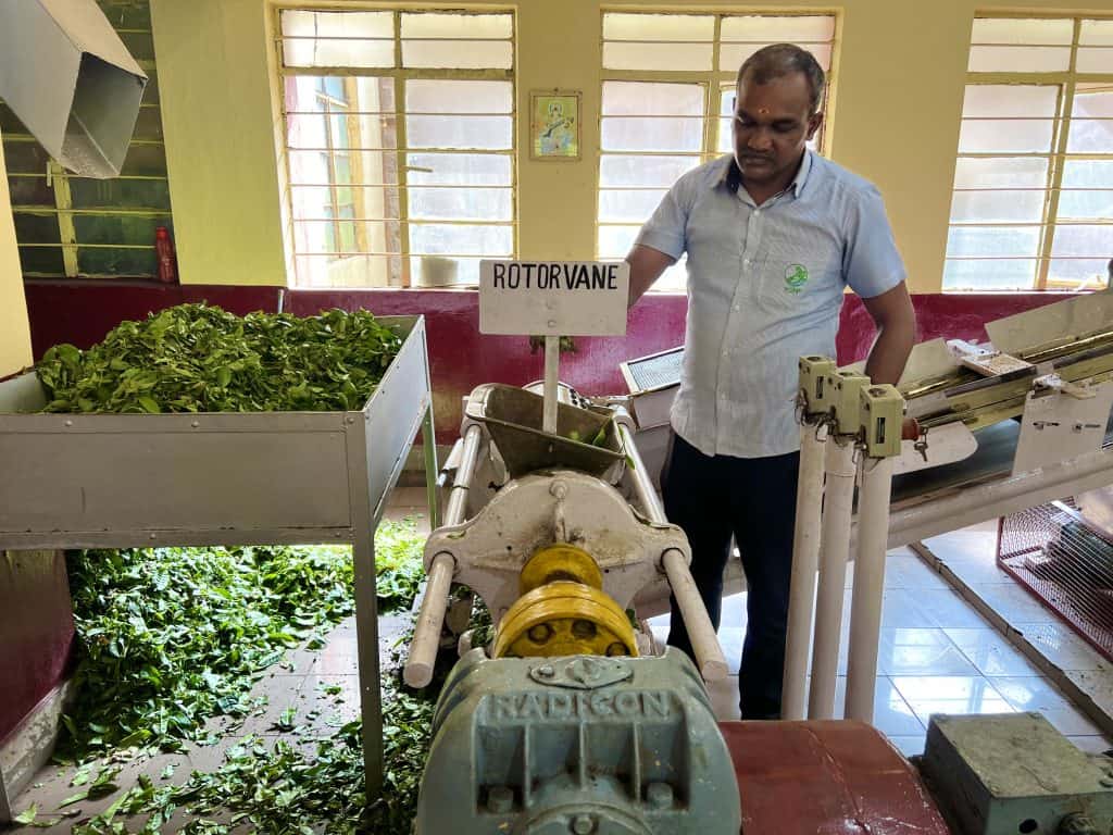 Kannan Devan Hills Tea Museumm being shown by male worker how tea is sorted