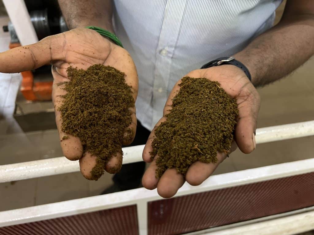Thanks to do in Munnar: End product of loose we see after it has been processed. loose tea leaves shown on male workers hands at Kannan Devan Hills Tea Museum