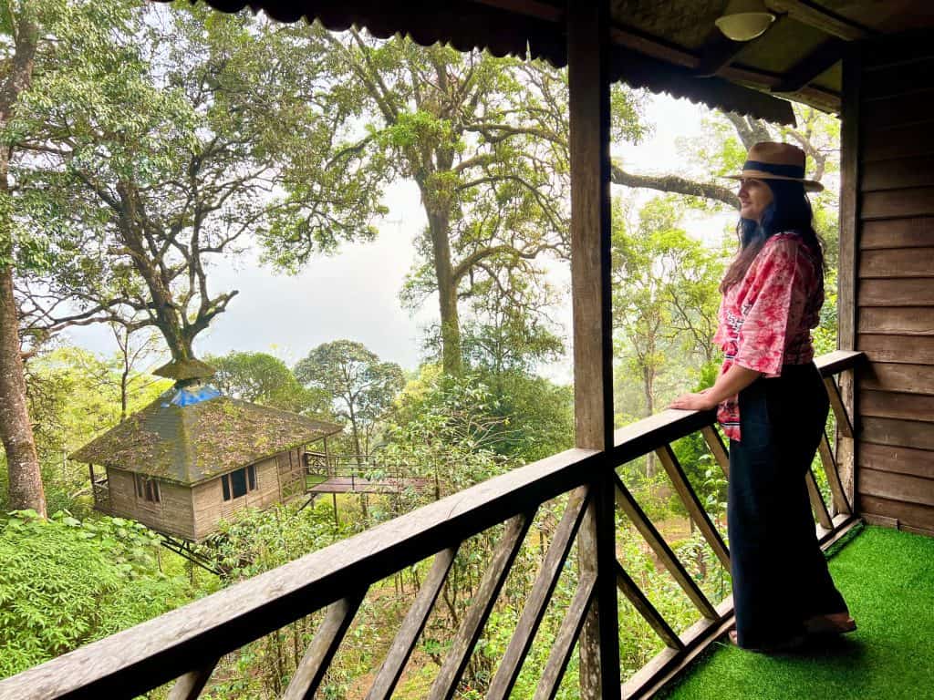 Bejal on Nature Zone tree house balcony looking at misty mountains