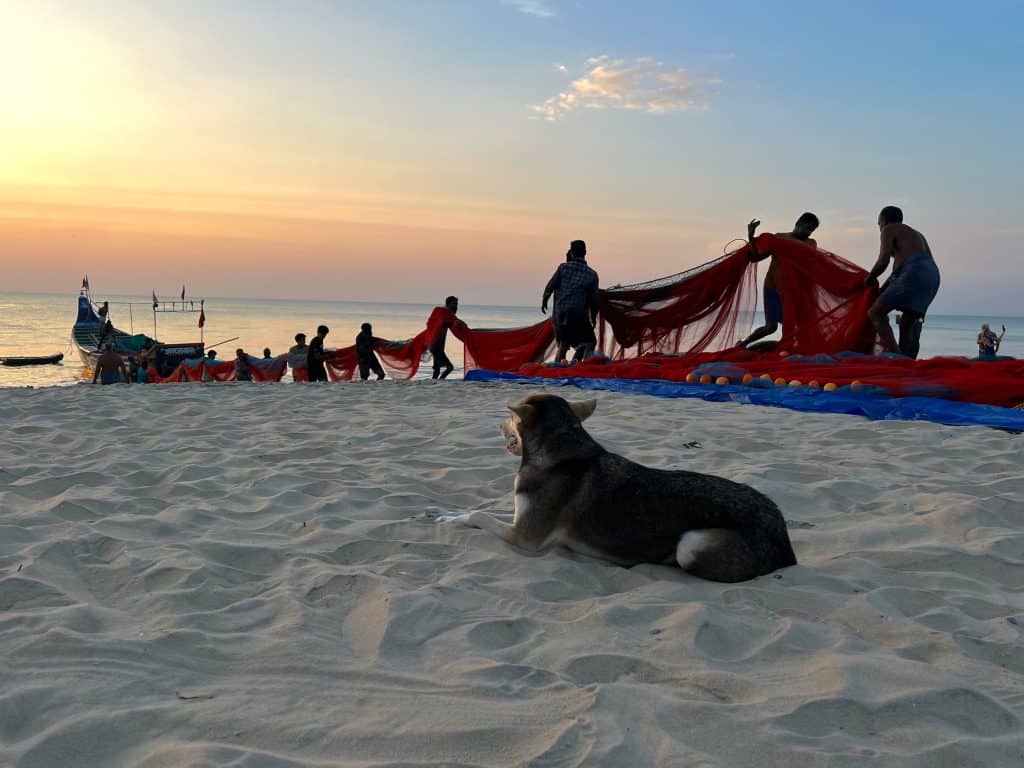 Marari Beach with dog sitting in front of fishing boat and nets. Fishermen sorting nets in the background with the sunset behind them and the lapping waves.
