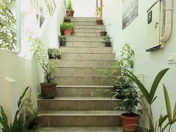 48 hours in Fort Kochi. Stairs leading up to Sheeba's homestay apartments with plants lining either side.