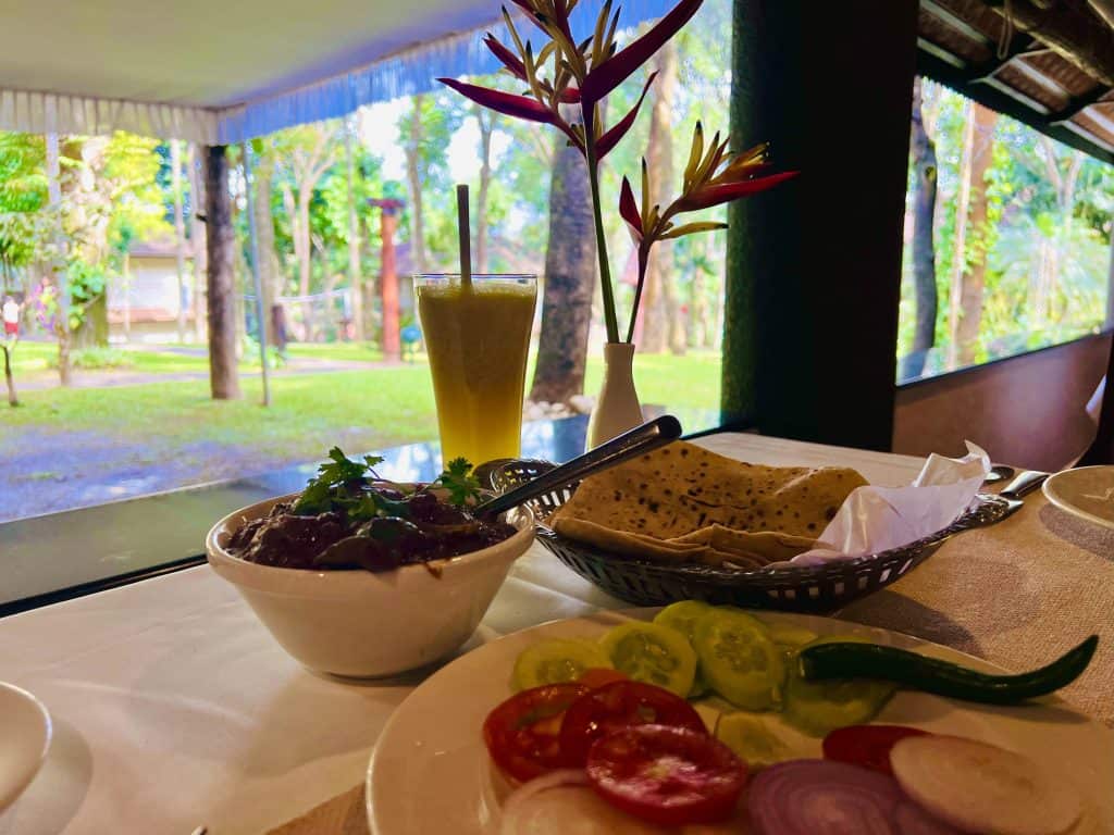 Pineapple juice, a paneer curry with salad and naan at Greenwoods restaurant in Thekkady, Kerala