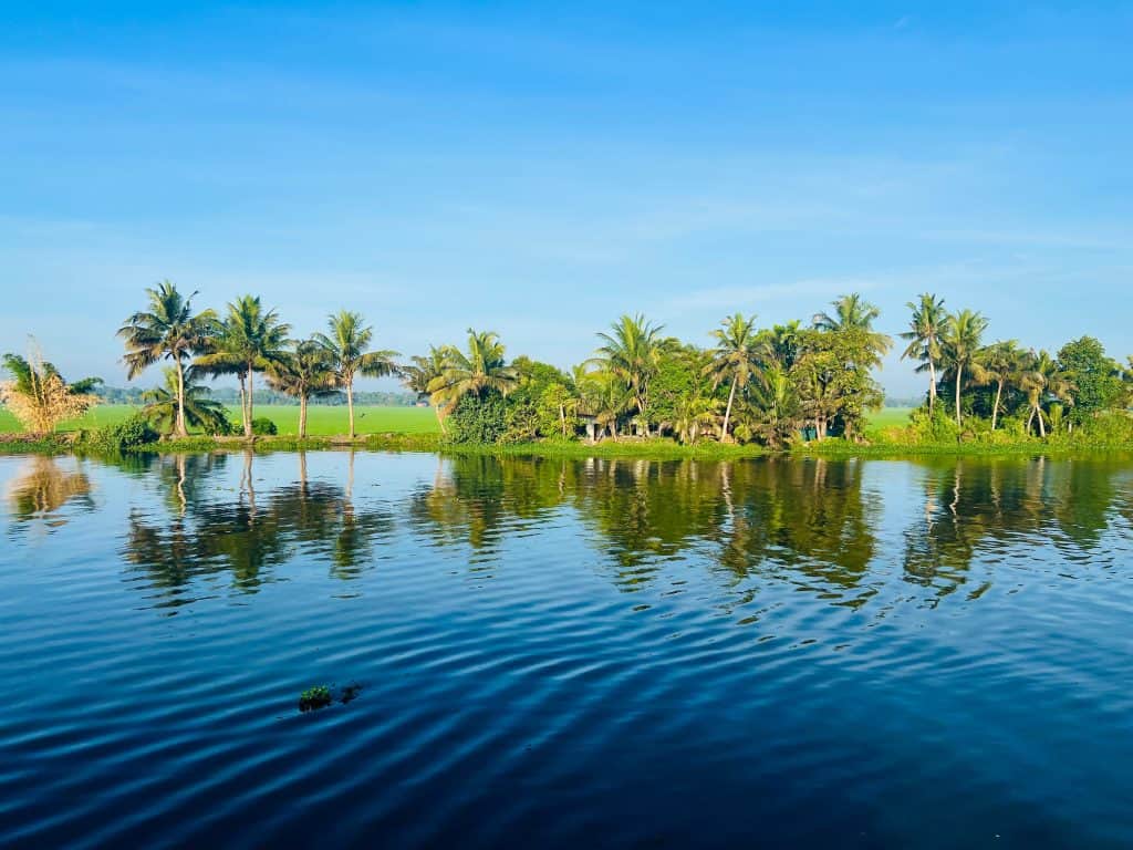 Beautiful Kerala backwaters: Row of palm trees with their reflection in the deep blue of the backwaters.