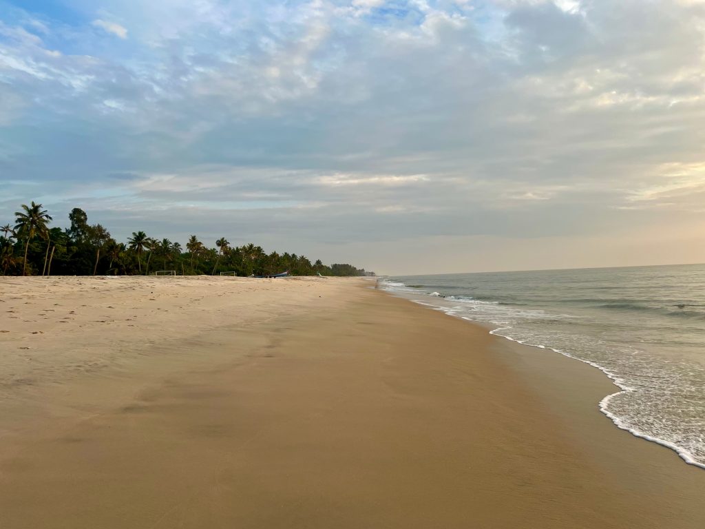 Marari Beach travel guide: long stretch of beach with swaying palm trees in the distance