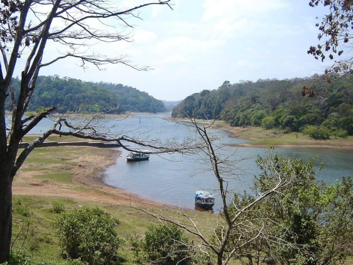 Things to do in Thekaddy, Kerala. Boats waiting at the lake in Periyar National Park.