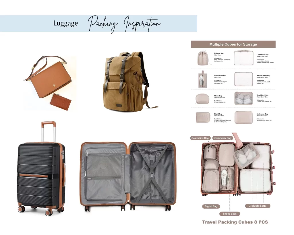 What you need for Kerala: graphic with luggage and bag options for Kerala