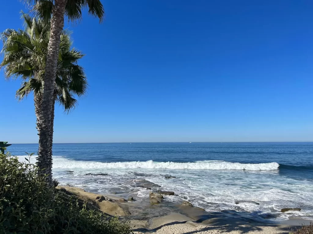 La Jolla Beach with pal trees to the left hand side