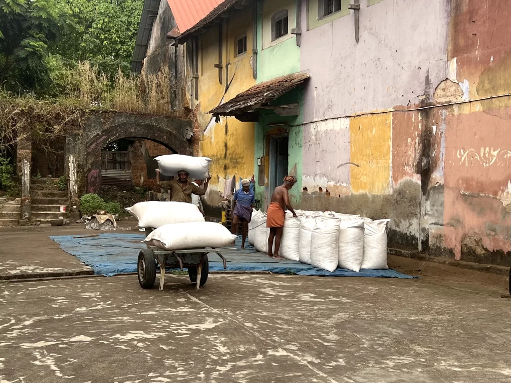 Men loading peppercorns onto a cart at a spice factory in Fort Kochi