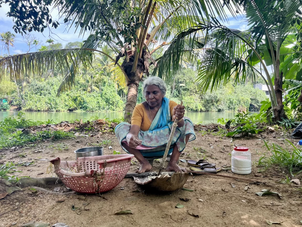 Elderly lady making arrowroot outside at the the village. She is wearing a blue sari and a yello short sleeve blouse.
