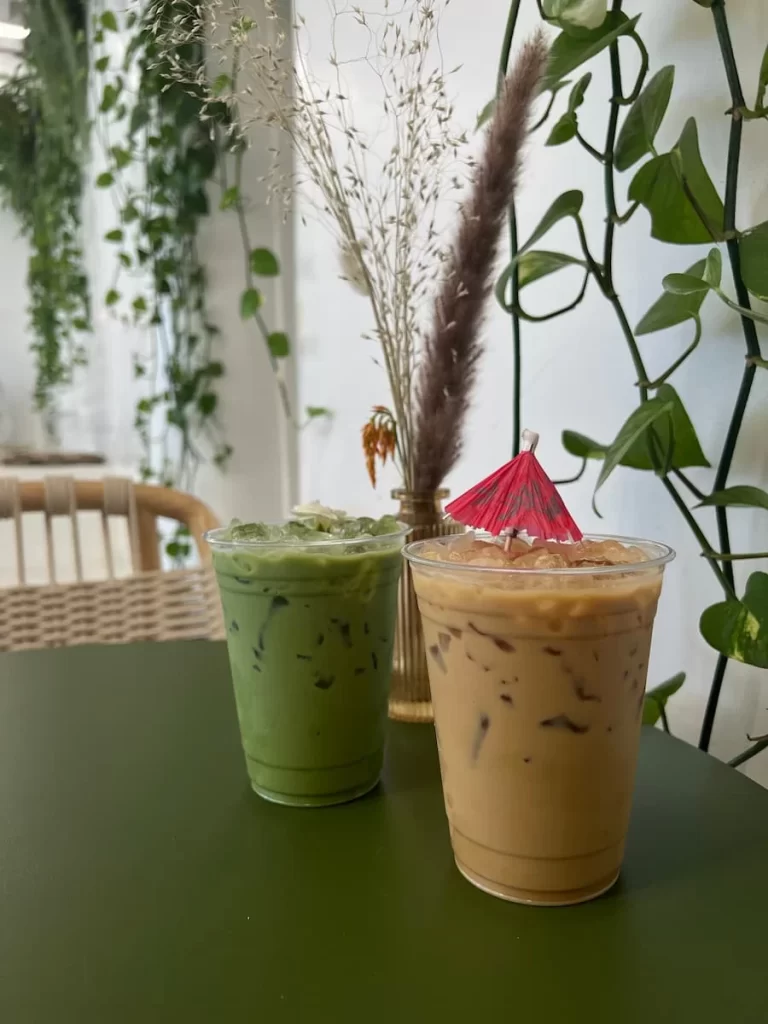 Evergreen (iced - local mint, vanilla, espresso and milk) & Hanalei Bae iced - pineapple, rum infused maple syrup, coconut, espresso and milk) with plants in the background at Lovesong Cafe, North Park, San Diego
