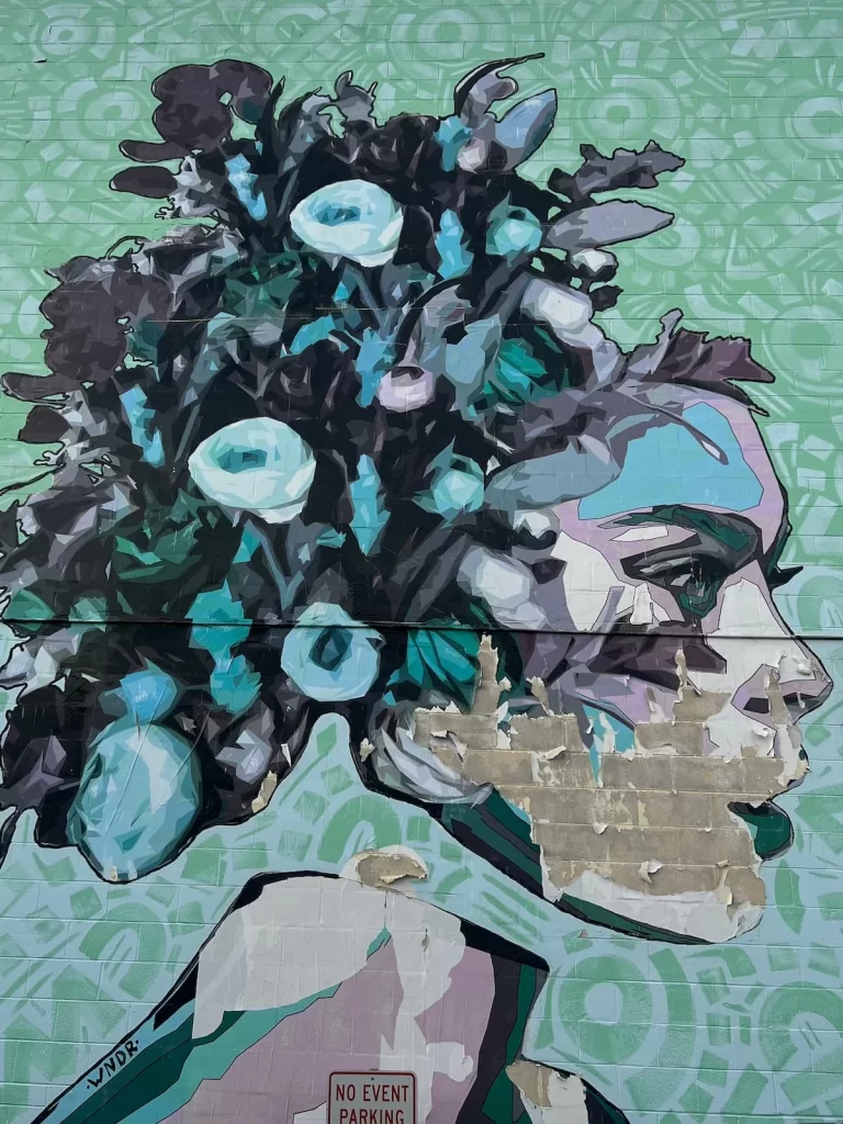 Little Italy Street Art on the walls in the neighbourhood. A lady with mint green flowers in her hair