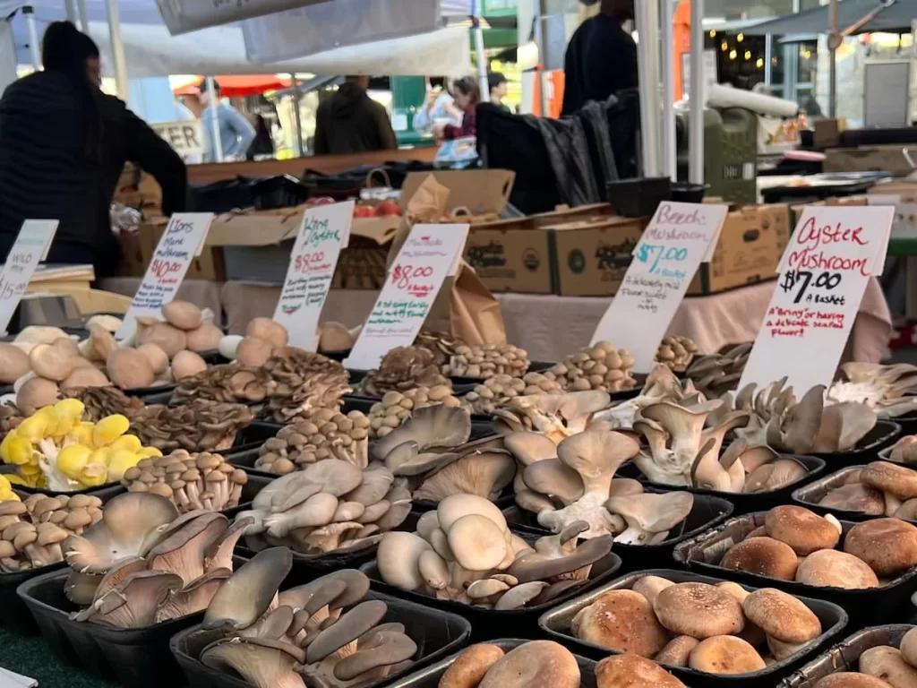 Little Italy Mercato mushroom stall, San Diego