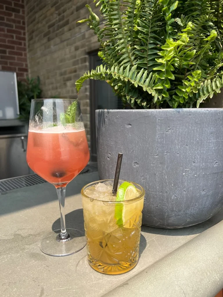 2 drinks (Island life and Chi Shandy Shake) on the ledge at Cindy's rooftop, Chicago next to. a grey pot with a green plant
