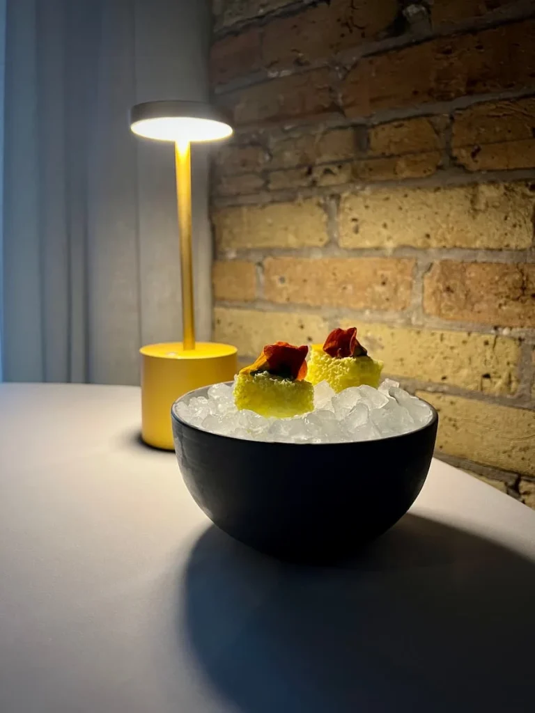 Dokhla Aero at Indienne, Chicago in a bowl filled with ice against a brick wall