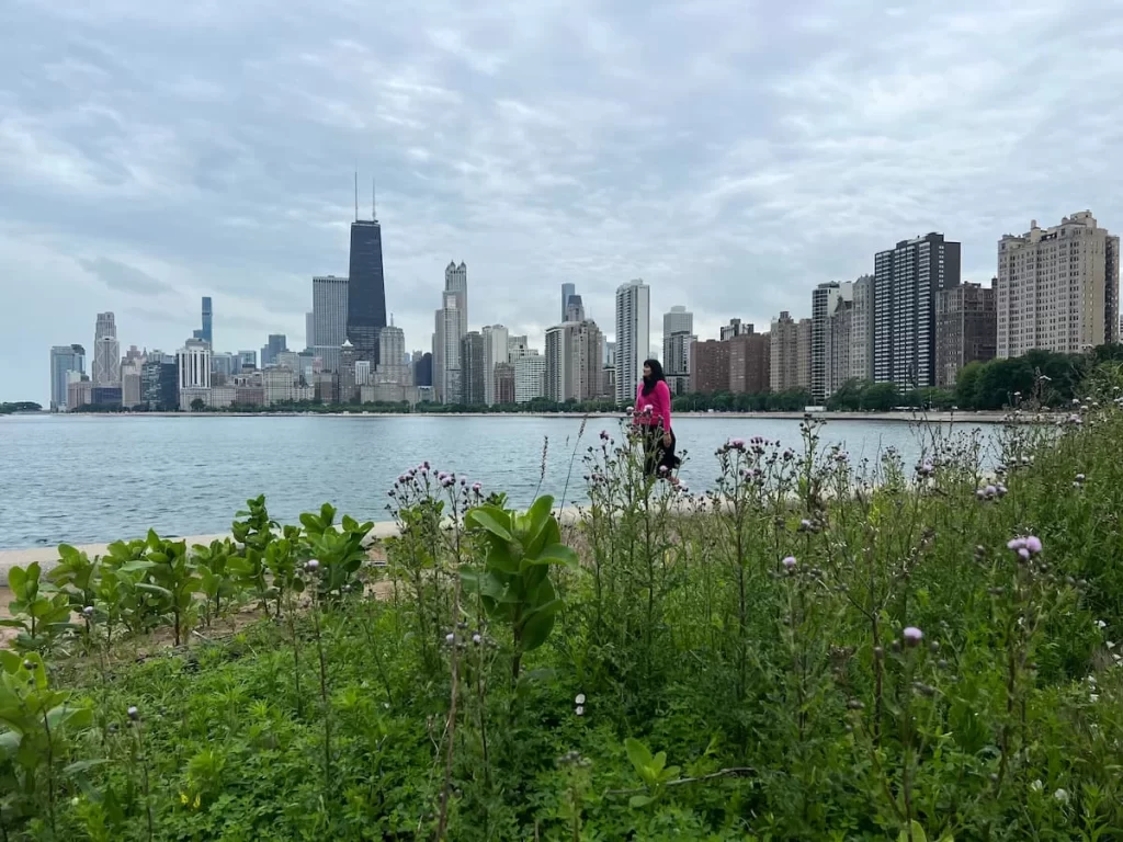 Bejal walking at North Avenue Beach, Chicago with skyscraper skyline in the background