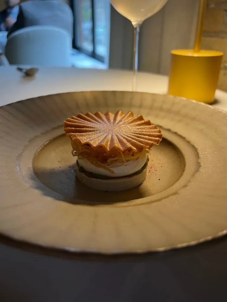 Yoghurt Chaat in a white deep bowl at Indienne, Chicago