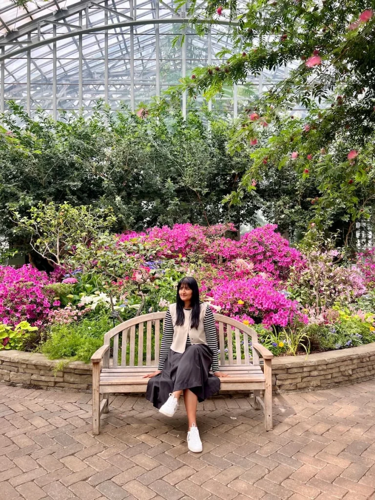Bejal sitting on a bench with pink flowers in the background at Gardield Park Conservatory, Chicago