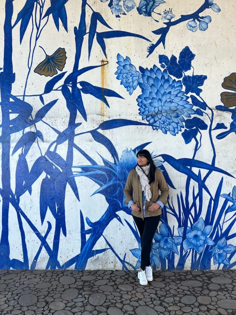 Bejal standing against a blue and white floral mural at Ping Tom Memorial Park, Chicago