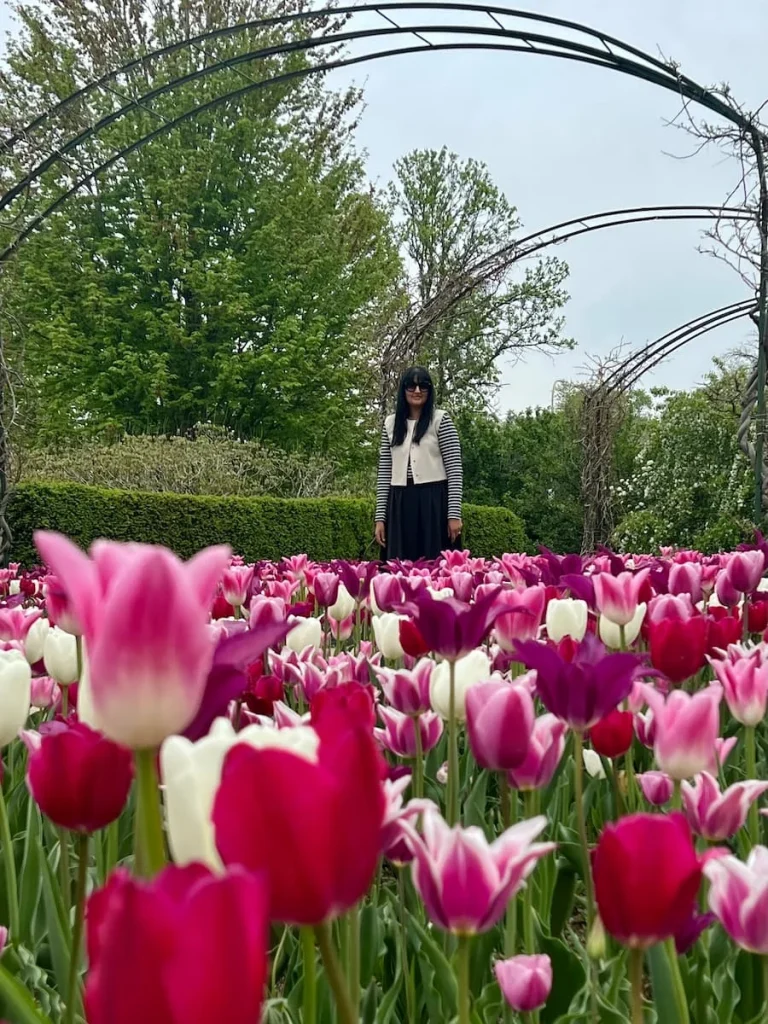Bejal walking alongside the pink and white tulips at Garfield Park Conservatory, Chicago