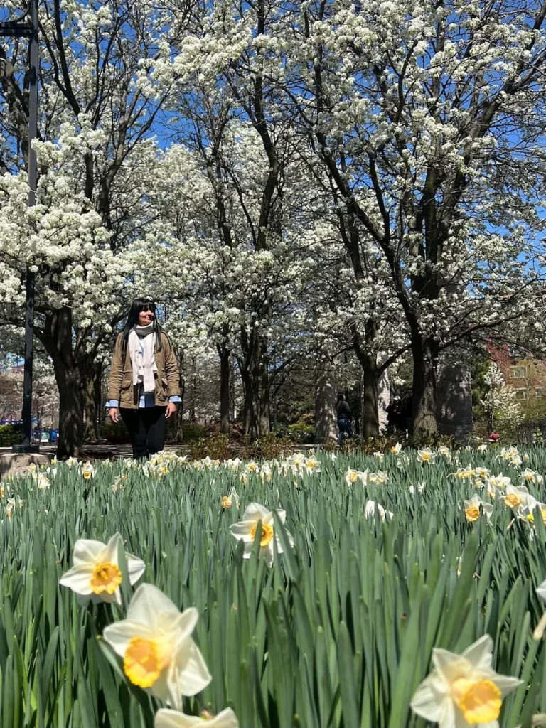 Bejal walking next to the blossom and daffodils at Ping Tom Memorial Park, Chicago