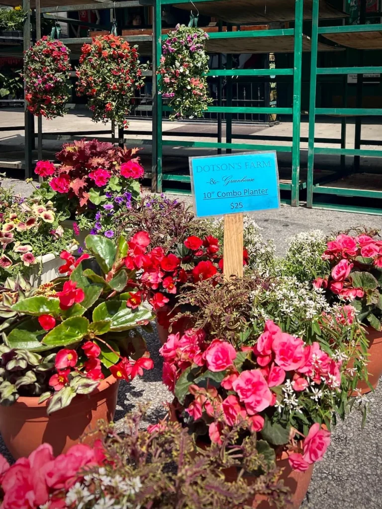 Bunches of flowers adn plants in buckets at the Division Street Farmer's Market, Chicago