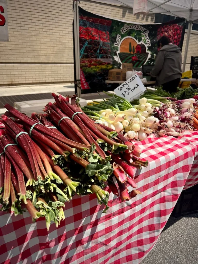 Rhubarb, vegetariable and conserves on a red and white checked table cloth at the Division Street Saturday Farmers Market, Chicago
