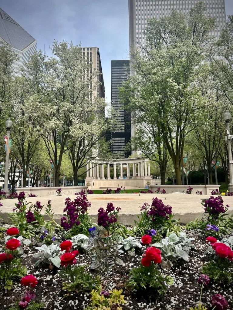 Millenium Parh view of the monumnet through the spring multicoloured tulips, Chicago