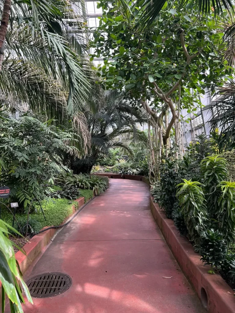 Walkway through the tropical greenhouse at Garfield Park Conservatory, Chicago