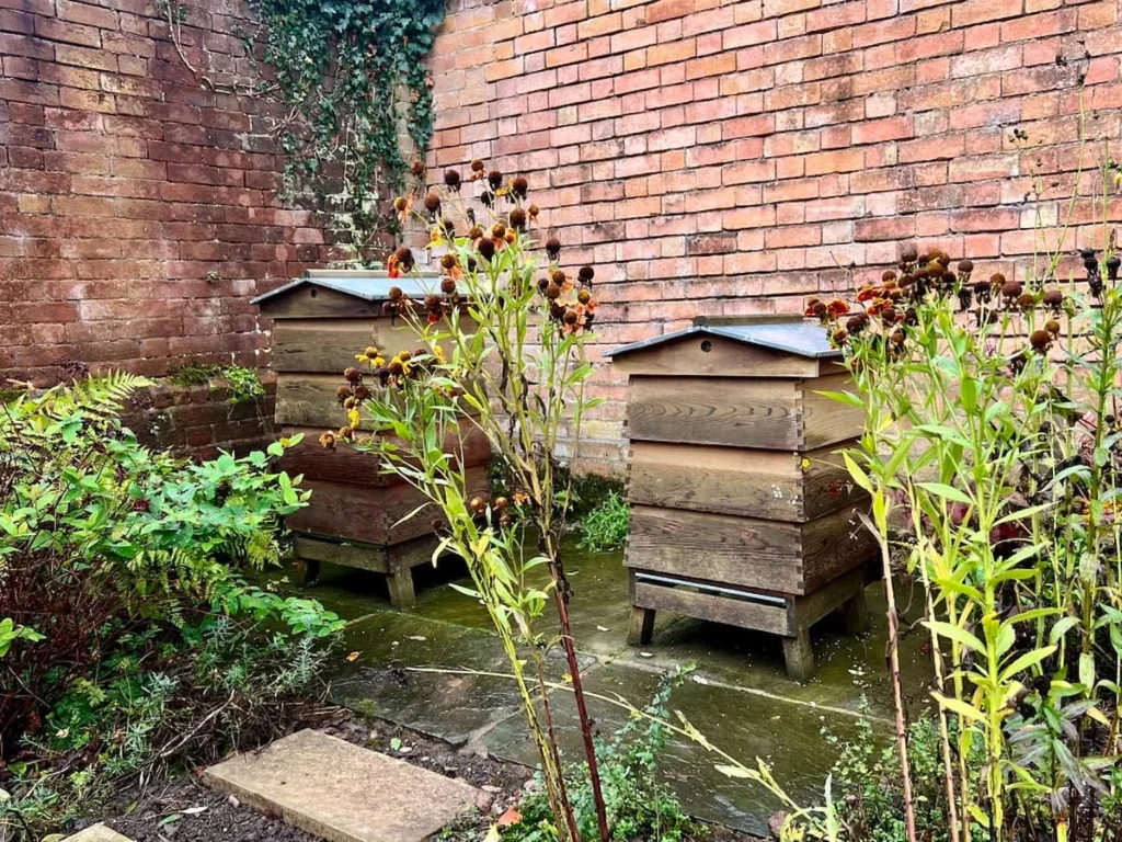 Bee hives in the walled garden at Hampton Manor