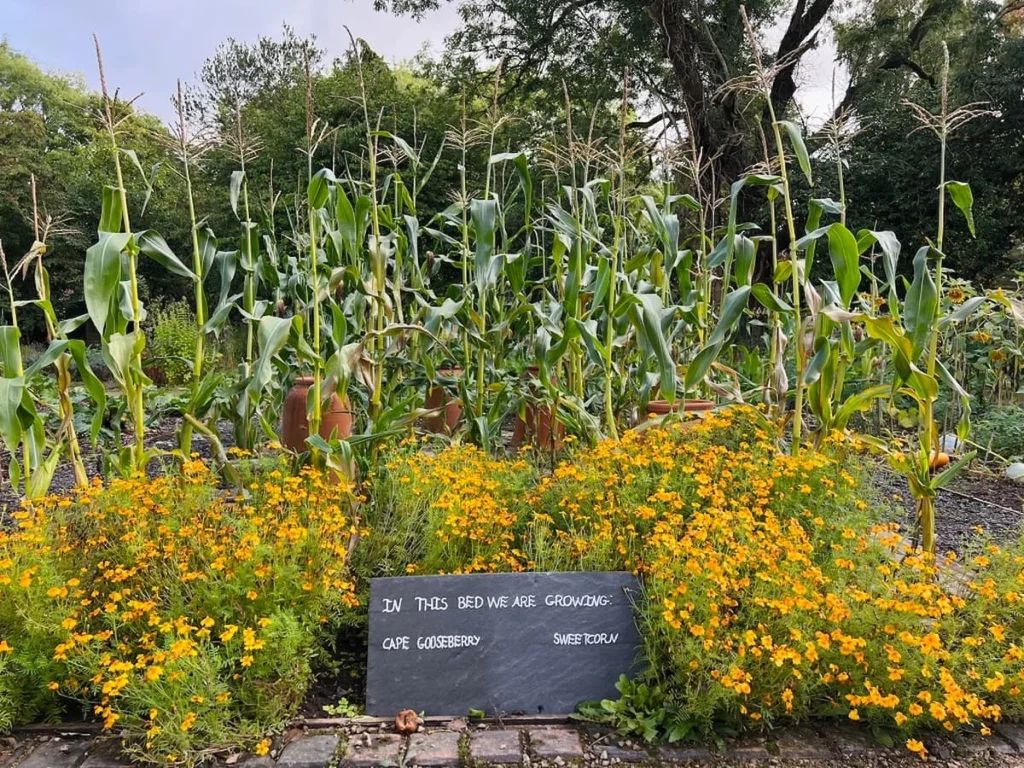 Walled garden tour at Hampton Manor