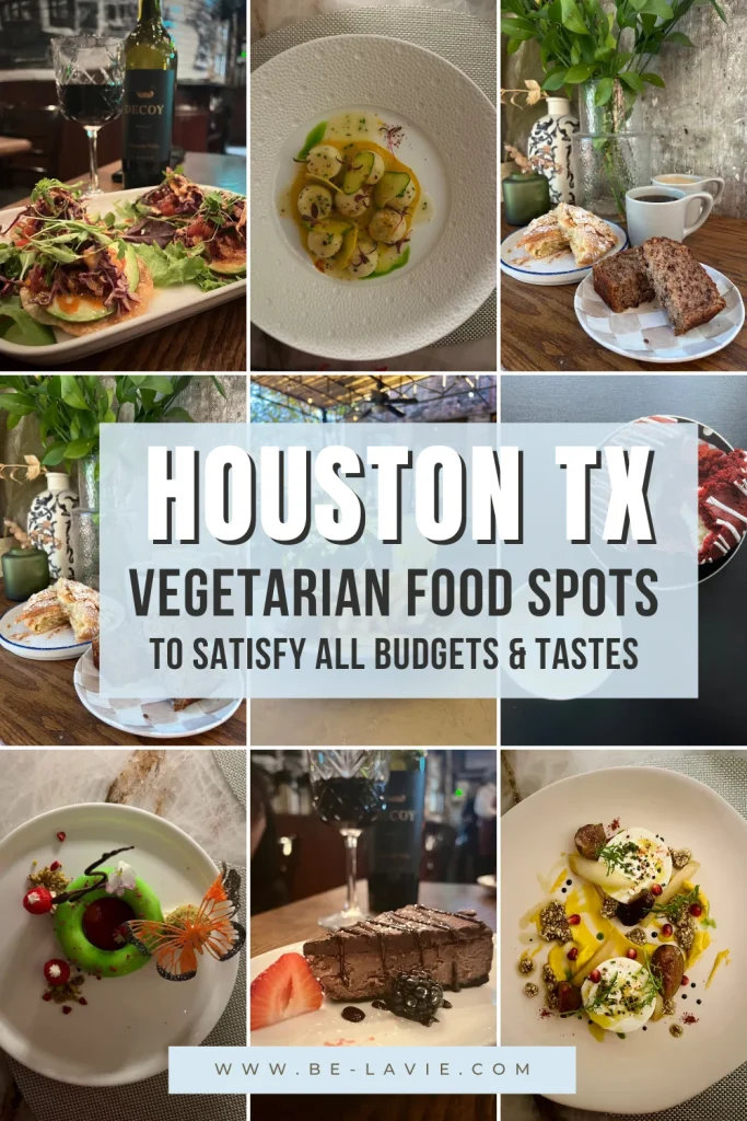 Vegetarian Food in Houston Pinterest Pin with 9 images overlayed with text